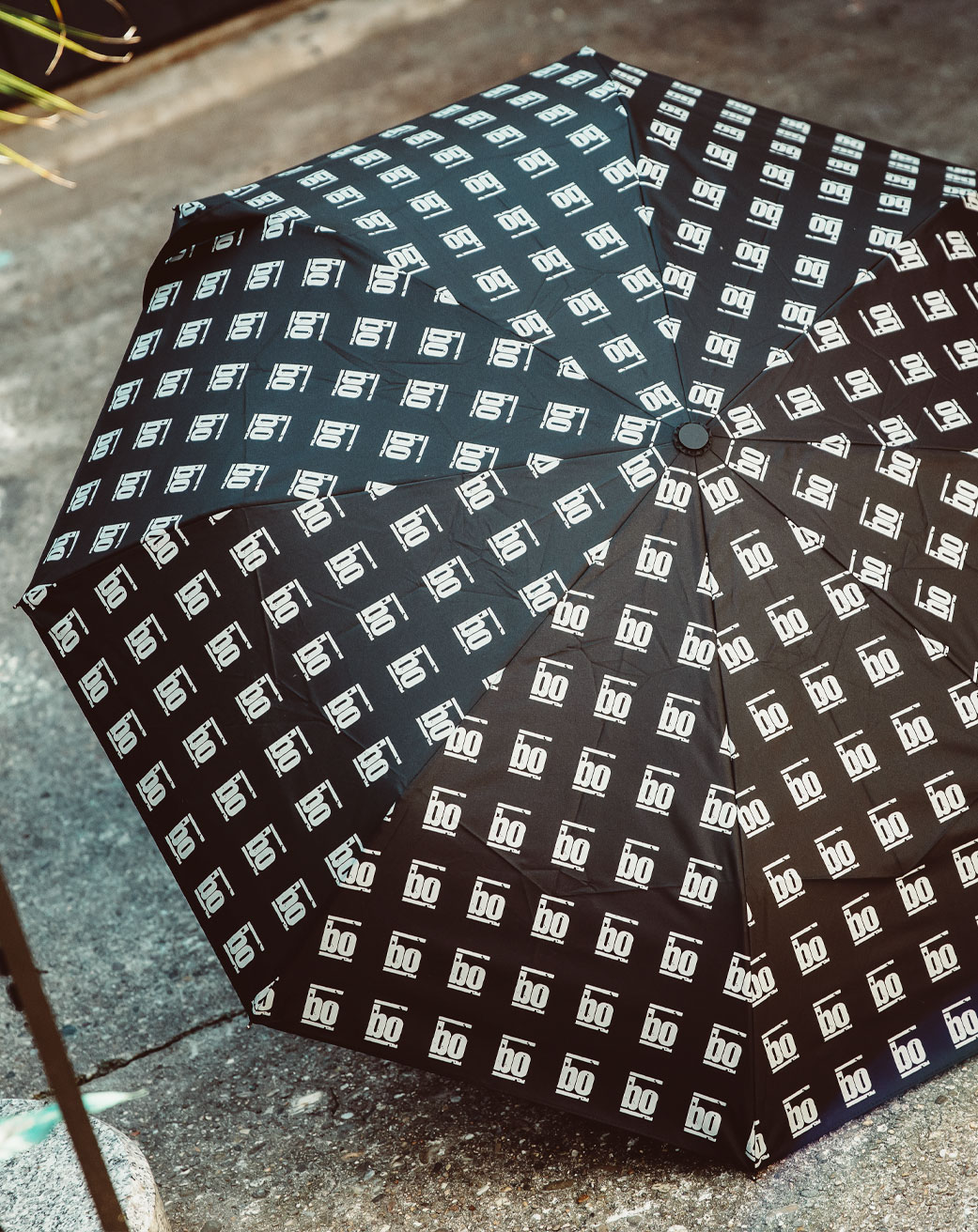 Regenschirm Regenschirm
