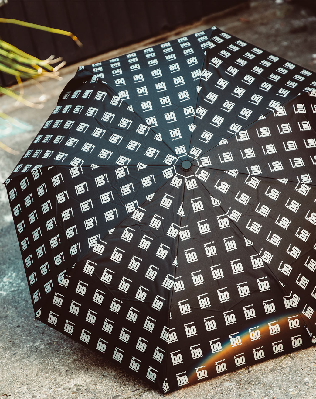 Regenschirm Regenschirm